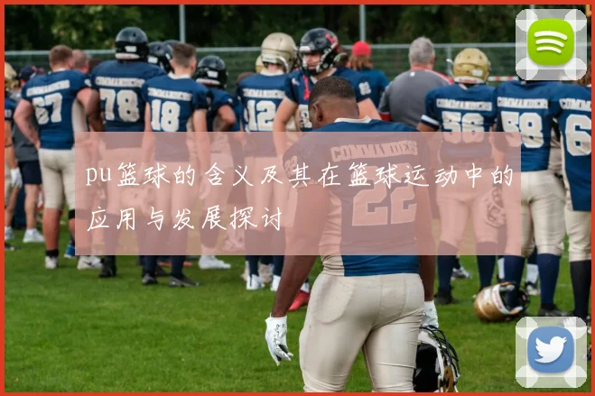 pu篮球的含义及其在篮球运动中的应用与发展探讨
