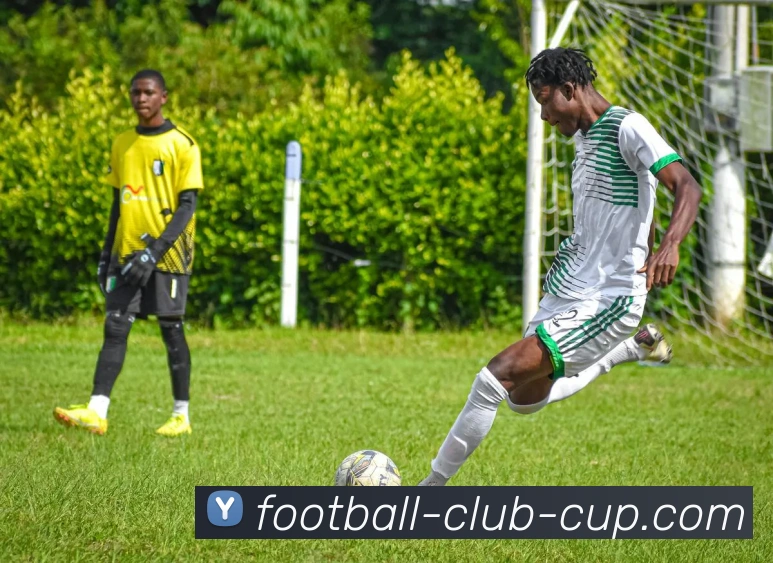 App Interface Preview